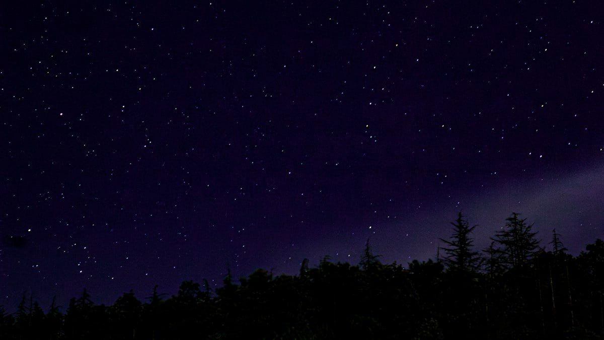 a night sky with stars and trees in the foreground