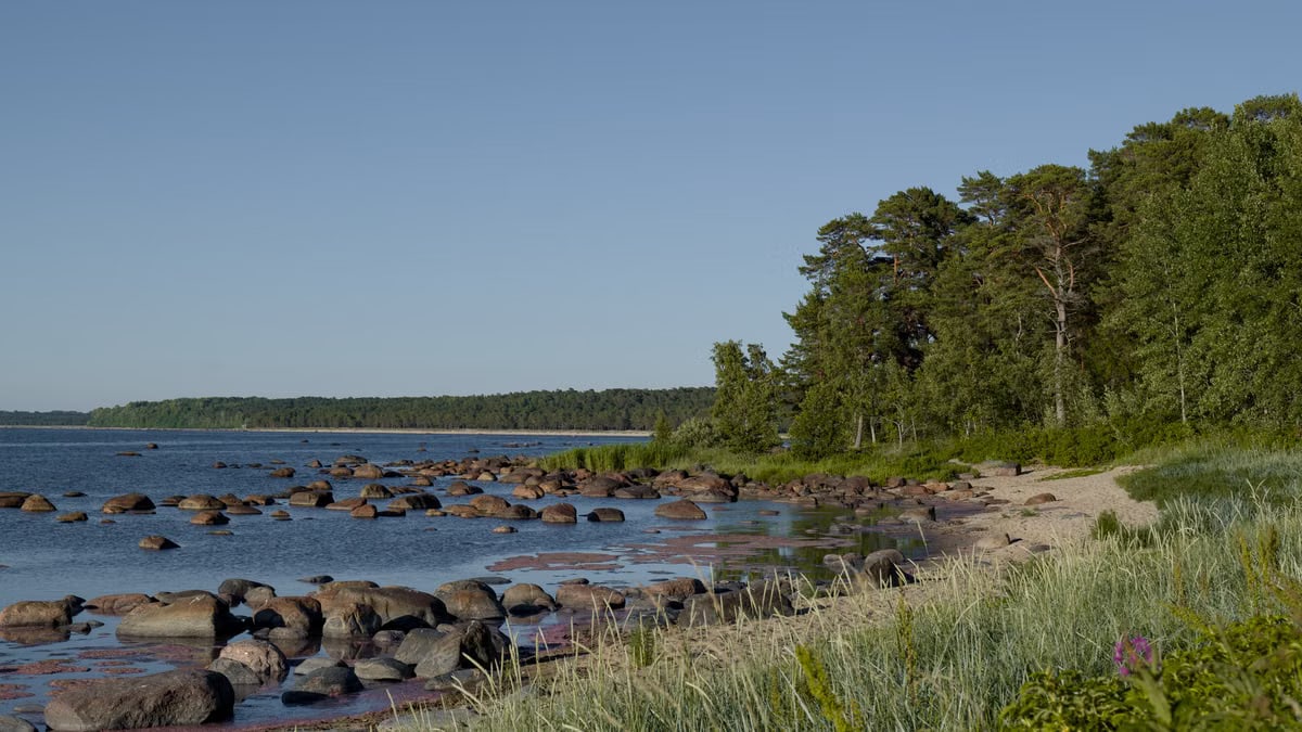 Serene rocky beach in Estonia with lush greenery and calm Baltic Sea waters.
